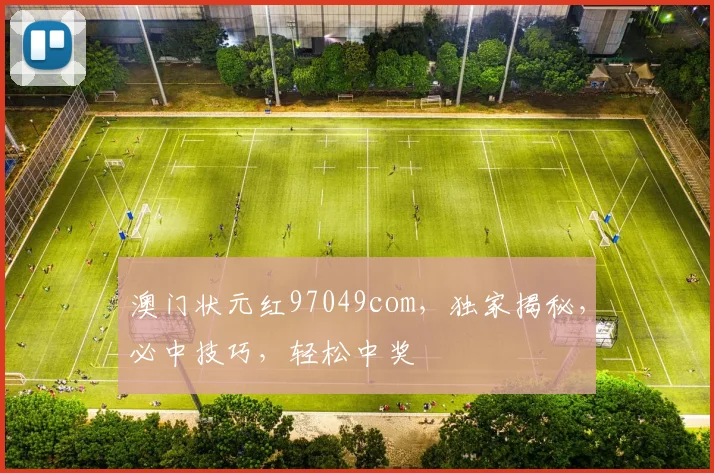 澳门状元红97049com，独家揭秘，必中技巧，轻松中奖