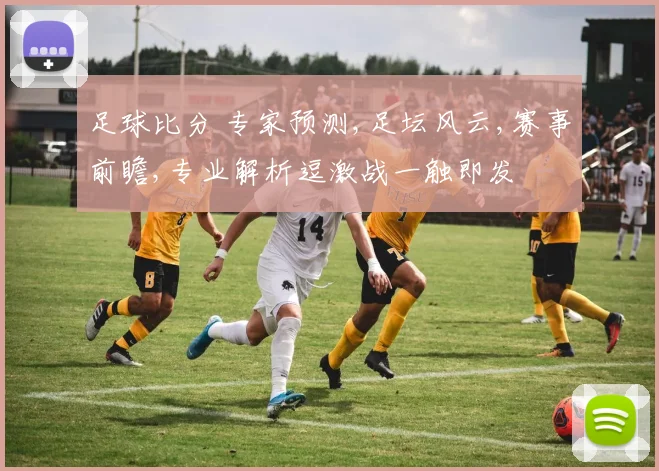 足球比分 专家预测,足坛风云,赛事前瞻,专业解析逗激战一触即发