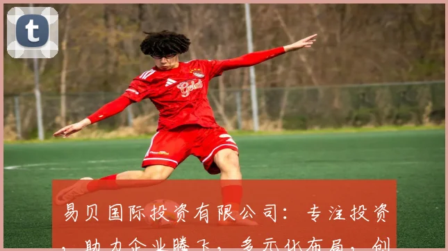 易贝国际投资有限公司：专注投资，助力企业腾飞，多元化布局，创新共赢三赢之路，打造行业领军品牌